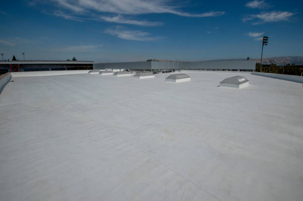 Best Roof Ventilation Installation  in Centreville, MI