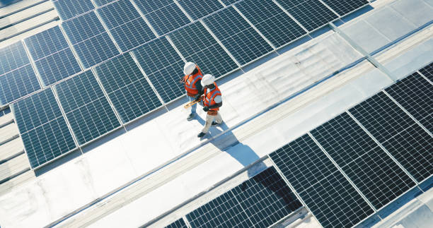 Best Roof Maintenance and Cleaning  in Centreville, MI