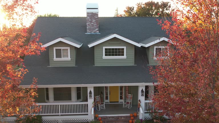 Best Chimney Flashing Repair  in Centreville, MI
