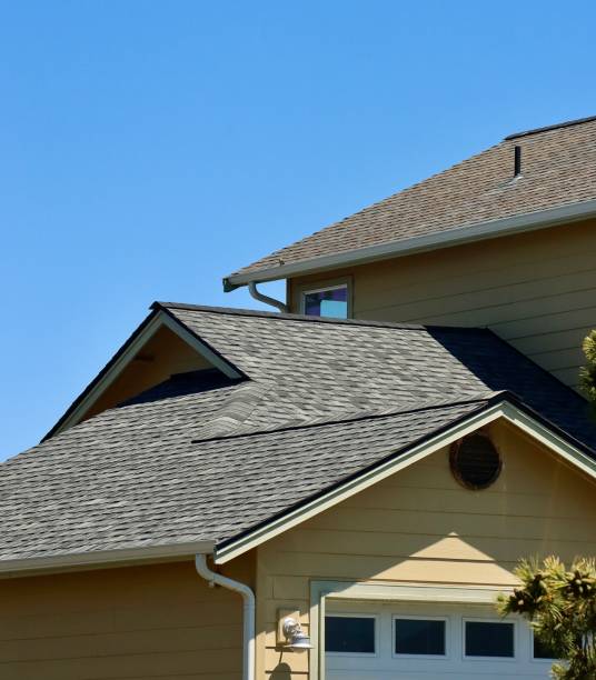 Best Roof Coating and Sealing  in Centreville, MI